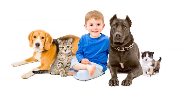 Winchester Pets