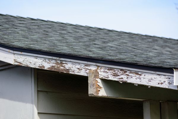Winchester Wood Rot Repair