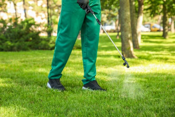 Winchester Lawn Treatment