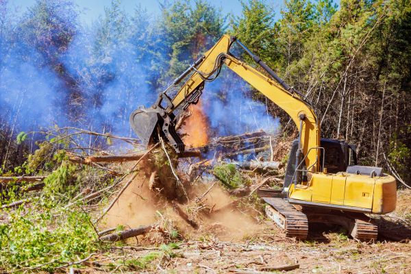 Winchester Land Clearing
