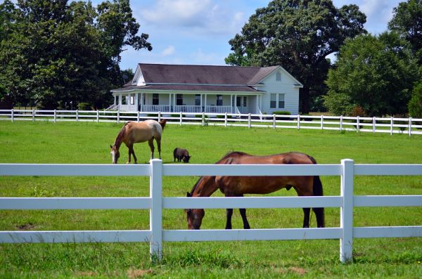 Winchester Fence Service